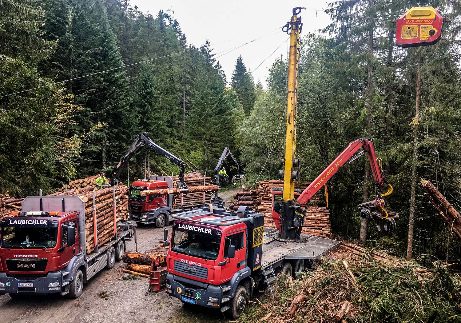 Forstbetrieb Laubichler Österreich - Holzernte, Holzseilung, Holztransport