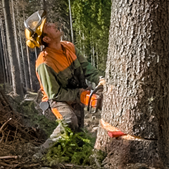 Dorel Buhai - Waldarbeiter bei Laubichler Holz