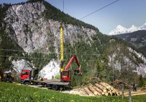 Forstwirtschaft und Holzwirtschaft Laubichler