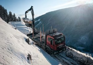 Holzverladung, Holztransport im Winter