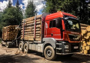 Holzhandel & Holztransport Laubichler Forstservice