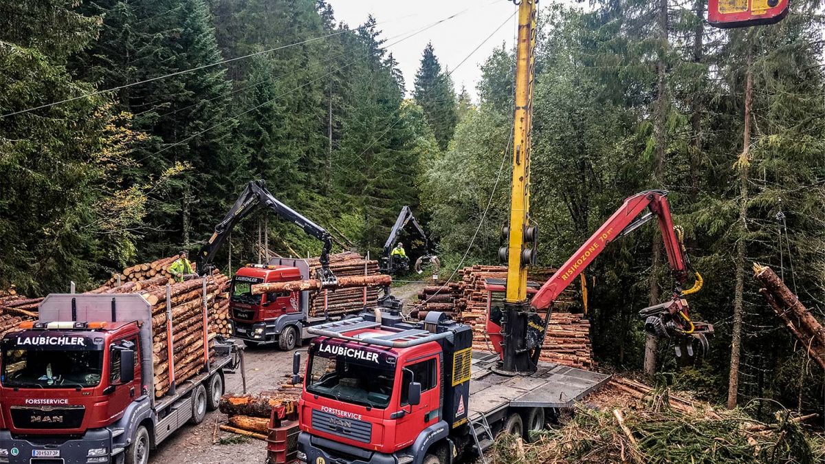 Forstbetrieb Laubichler Österreich - Holzernte, Holzseilung, Holztransport