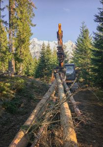 Holzbringung mit Kettenbagger und Holzzange Dachstein